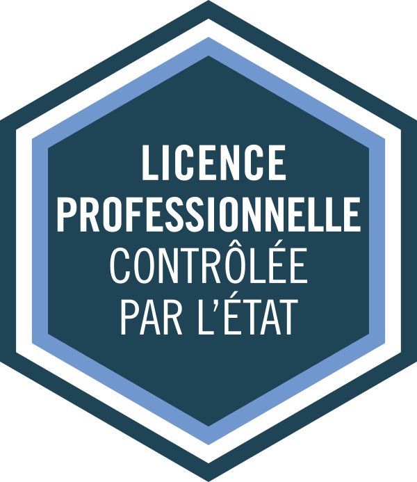 diplome d Etat Licence pro